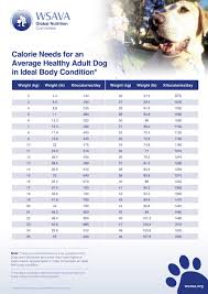 calorie requirements calculator