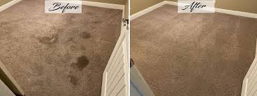 go dry carpet cleaning reviews browns