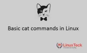 12 basic cat command in linux with