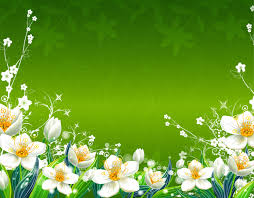 50 green flower wallpapers