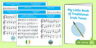 Traditional Irish Tin Whistle Songs Music Booklet