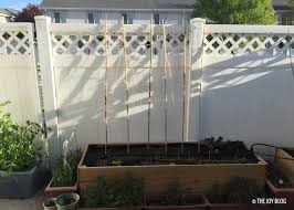We did not find results for: Super Cheap Diy Bamboo Bean Trellis The Joy Blog