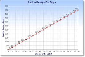 aspirin for dogs what you need to know
