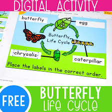 This is one of my favourite films in the whole wide world i. Life Cycle Of A Butterfly Activity For Kids Life Over C S