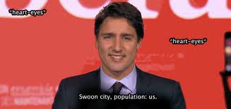 Image result for justin trudeau canadian gifs