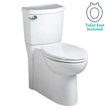 Two Piece Toilet With Concealed Trapway