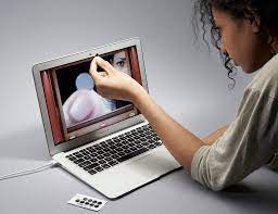 computer screen as a camera tamaggo