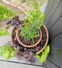 Vertical Garden Planter Herbs