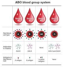 weekender what blood types are really