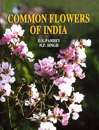 common flowers of india exotic india art