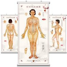 Chinese Medicine Acupuncture Point Map Body Meridian