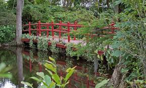 The Zen Garden S Mystique Gardening Site