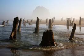 Big Low Tides Coming To The Oregon Coast This Summer