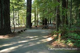 We did not find results for: Grizzly Creek Redwoods State Park Campsite Photos Availability Alerts