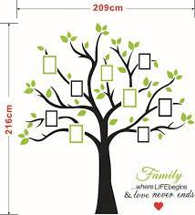 picture frame tree wall decal