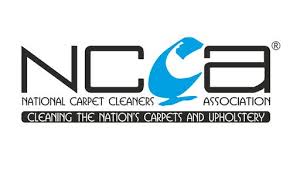 expert carpet cleaning the carpet doctor