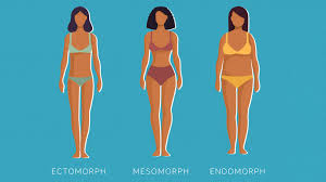 body type quiz are you an endomorph