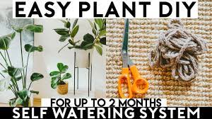 plant self watering system diy