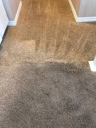 sparkle carpet cleaning sparkle