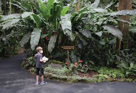 por tropical garden attraction