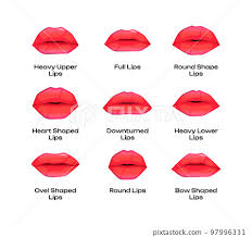 types of woman lips diffe shapes