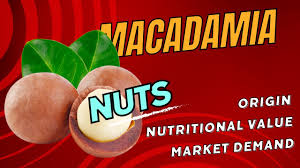 macadamia nuts origin nutritional