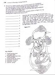 Reta hyatt md uploaded you. Solved 218 Anatomy Physiology Coloring Workbook 2 The Chegg Com