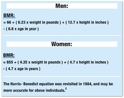 Basal Metabolic Rate Calculator What Does It Mean