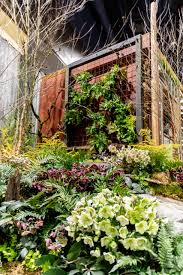 scenes from the nw flower and garden show