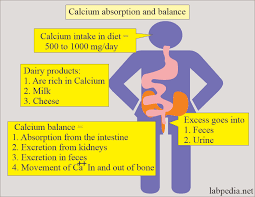 Calcium Total Hypercalcemia