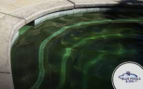 how to remove algae from pool walls