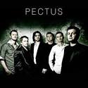 Pectus album by Pectus