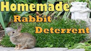 homemade wild rabbit deter you