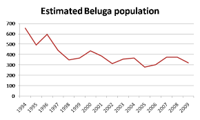 Population Growth Beluga Whales