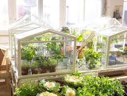Well, in that case, you're in luck. Easy Diy Mini Greenhouse Ideas Creative Homemade Greenhouses Balcony Garden Web