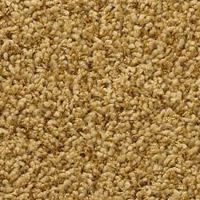 mohawk carpet mohawk carpet flooring