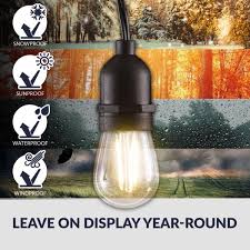 Newhouse Lighting Outdoor Indoor 48 Ft Plug In S14 Bulb Led String Light With Wireless 265w Dimmer Remote Control And Extra Bulb Black Cstringleddim The Home Depot