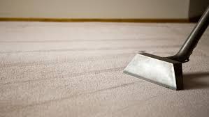 how to clean vomit from a carpet 3 ways
