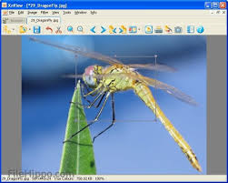 Download xnview for windows pc from filehorse. Download Xnview 2 50 For Windows Filehippo Com