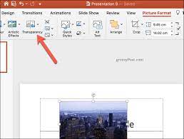 picture transpa in powerpoint