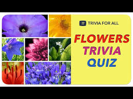 flowers trivia quiz guess the flower