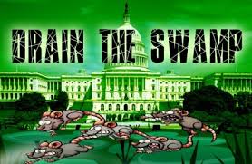 Image result for drain the swamp