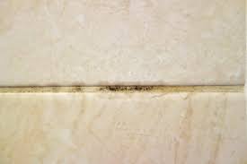 clean mold in shower grout naturally