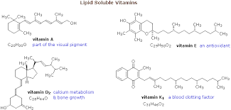 lipids