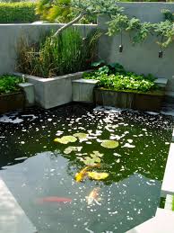 How To Make A Pond Houzz