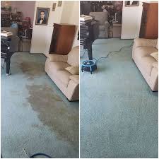 carpet air duct cleaning services in