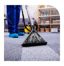 carpet sofa rug cleaning services