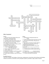 crossword puzzle with dna worksheet