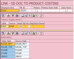 Linking Sales Documents To Product Costing Data