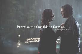 But the story of the salvatore brothers stefan said the above quote while talking about elena to lexi and at that moment, lexi realized that stefan was 100% in love with elena. Image About Love In The Vampire Diaries Quotes By Smalltowngurll